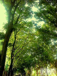 上越デリヘル上越風俗出張アロママッサージ(ジョウエツフウゾクシュッチョウアロママッサージ)ゆずき☆(37)の2019年5月21日写メブログ「ありがとうございました♡」