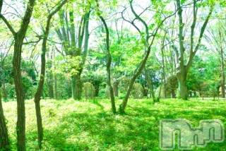 上越デリヘル上越風俗出張アロママッサージ(ジョウエツフウゾクシュッチョウアロママッサージ)ゆずき☆(37)の2019年7月7日写メブログ「ありがとうございました♡」