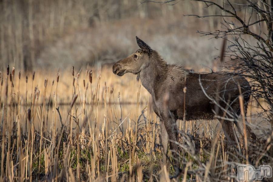上越デリヘル上越風俗出張アロママッサージ(ジョウエツフウゾクシュッチョウアロママッサージ)ゆずき☆(37)の2019年9月10日写メブログ「ありがとうございました♡」