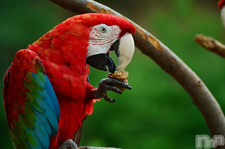 上越デリヘル上越風俗出張アロママッサージ(ジョウエツフウゾクシュッチョウアロママッサージ)ゆずき☆(37)の2019年9月13日写メブログ「ありがとうございました♡」