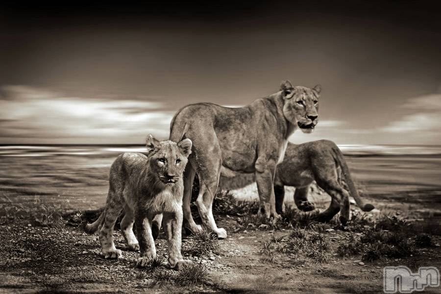 上越デリヘル上越風俗出張アロママッサージ(ジョウエツフウゾクシュッチョウアロママッサージ)ゆずき☆(37)の2019年9月13日写メブログ「ありがとうございました♡」