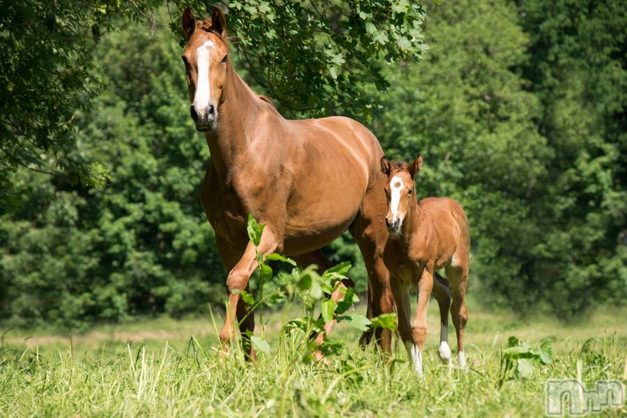 上越デリヘル上越風俗出張アロママッサージ(ジョウエツフウゾクシュッチョウアロママッサージ)ゆずき☆(37)の2019年9月15日写メブログ「ありがとうございました♡」