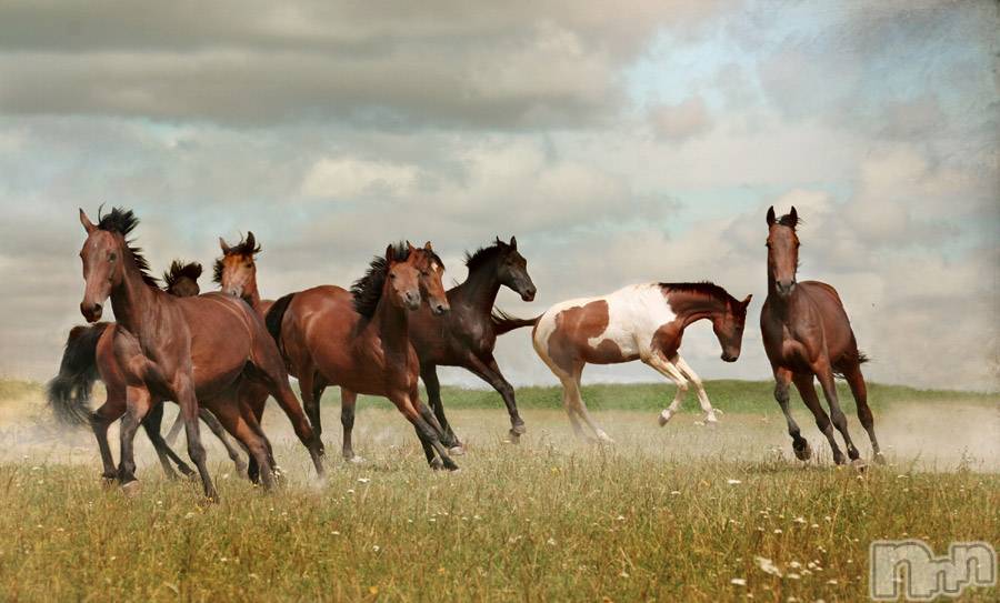 上越デリヘル上越風俗出張アロママッサージ(ジョウエツフウゾクシュッチョウアロママッサージ)ゆずき☆(37)の2019年9月15日写メブログ「ありがとうございました♡」