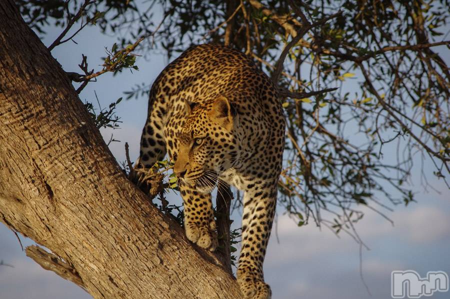 上越デリヘル上越風俗出張アロママッサージ(ジョウエツフウゾクシュッチョウアロママッサージ)ゆずき☆(37)の2019年9月16日写メブログ「ありがとうございました♡」