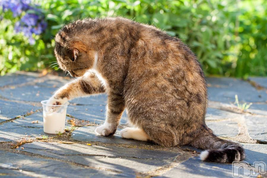 上越デリヘル上越風俗出張アロママッサージ(ジョウエツフウゾクシュッチョウアロママッサージ)ゆずき☆(37)の2019年9月16日写メブログ「ありがとうございました♡」