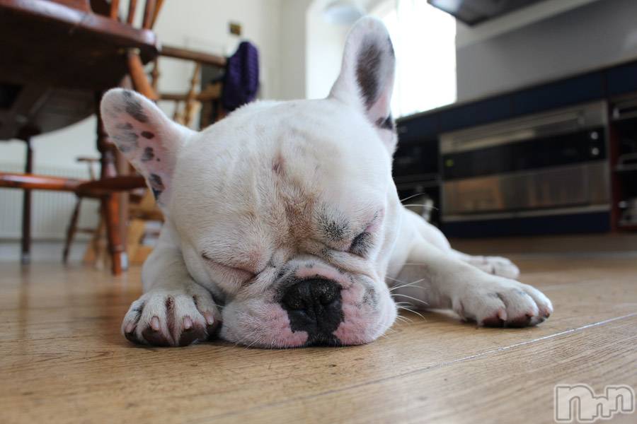 上越デリヘル上越風俗出張アロママッサージ(ジョウエツフウゾクシュッチョウアロママッサージ)ゆずき☆(37)の2019年9月18日写メブログ「ありがとうございました♡」