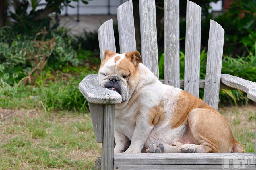 上越デリヘル上越風俗出張アロママッサージ(ジョウエツフウゾクシュッチョウアロママッサージ)ゆずき☆(37)の2019年9月20日写メブログ「ありがとうございました♡」