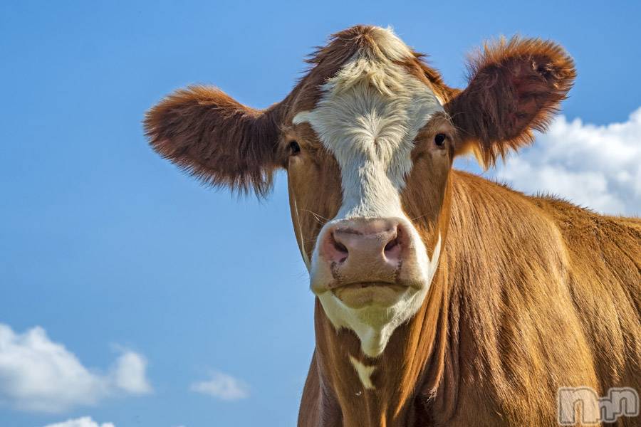 上越デリヘル上越風俗出張アロママッサージ(ジョウエツフウゾクシュッチョウアロママッサージ)ゆずき☆(37)の2019年9月22日写メブログ「ありがとうございました♡」