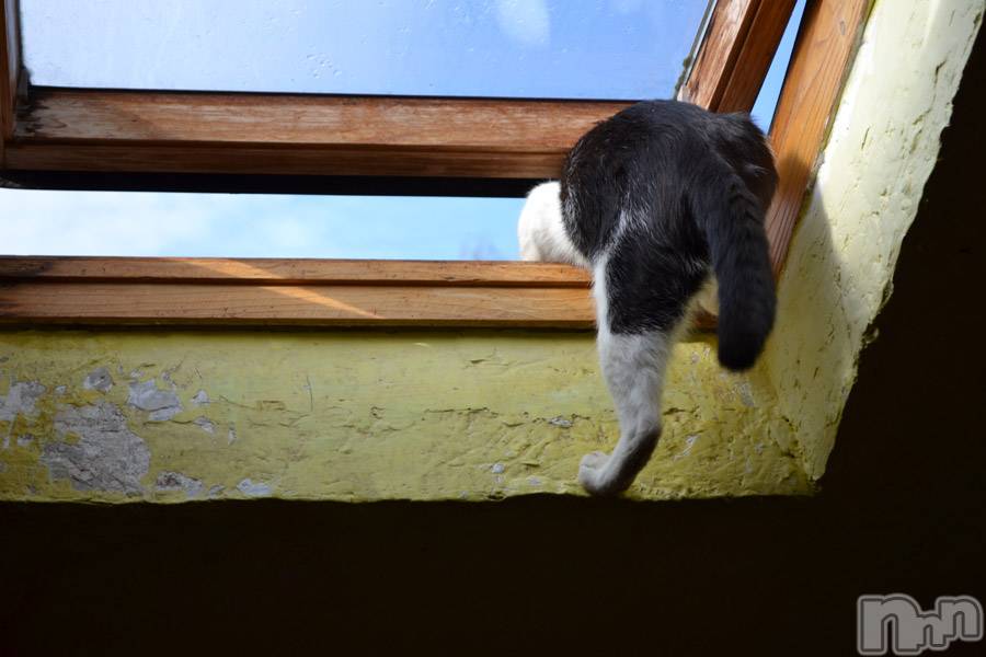 上越デリヘル上越風俗出張アロママッサージ(ジョウエツフウゾクシュッチョウアロママッサージ)ゆずき☆(37)の2019年9月22日写メブログ「ありがとうございました♡」