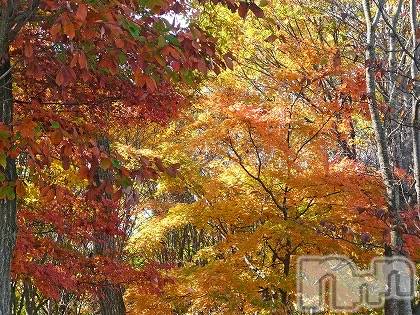 上越デリヘル上越風俗出張アロママッサージ(ジョウエツフウゾクシュッチョウアロママッサージ)ゆずき☆(37)の2019年10月19日写メブログ「ありがとうございました♡」