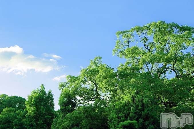 上越デリヘル上越風俗出張アロママッサージ(ジョウエツフウゾクシュッチョウアロママッサージ)ゆずき☆(37)の2019年10月23日写メブログ「ありがとうございました♡」