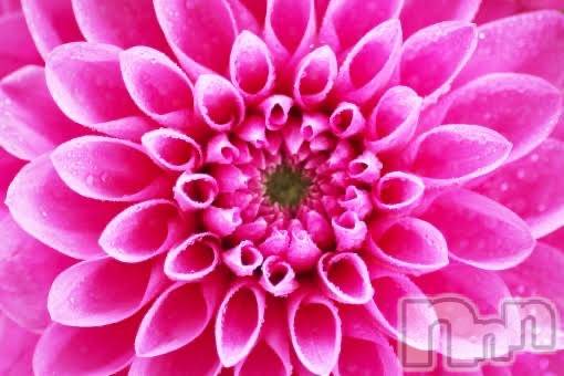 上越デリヘル上越風俗出張アロママッサージ(ジョウエツフウゾクシュッチョウアロママッサージ)ゆずき☆(37)の2020年2月10日写メブログ「ありがとうございました♡」