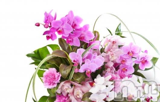 上越デリヘル上越風俗出張アロママッサージ(ジョウエツフウゾクシュッチョウアロママッサージ)ゆずき☆(37)の2020年2月12日写メブログ「ありがとうございました♡」