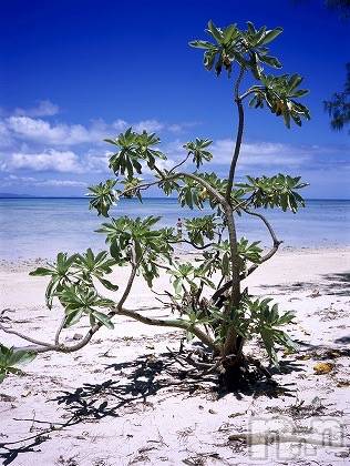 上越デリヘル上越風俗出張アロママッサージ(ジョウエツフウゾクシュッチョウアロママッサージ)ゆずき☆(37)の2020年4月18日写メブログ「ありがとうございました♡」