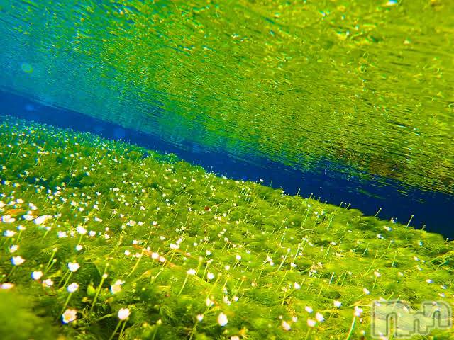 上越デリヘル上越風俗出張アロママッサージ(ジョウエツフウゾクシュッチョウアロママッサージ)ゆずき☆(37)の2020年9月12日写メブログ「ありがとうこざいました♡」