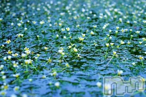 上越デリヘル上越風俗出張アロママッサージ(ジョウエツフウゾクシュッチョウアロママッサージ)ゆずき☆(37)の2020年9月12日写メブログ「ありがとうございました♡」