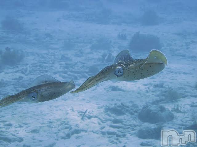 上越デリヘル上越風俗出張アロママッサージ(ジョウエツフウゾクシュッチョウアロママッサージ)ゆずき☆(37)の2020年9月25日写メブログ「ありがとうございました♡」