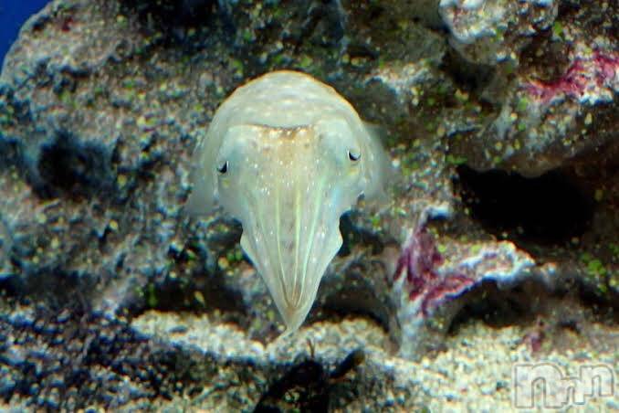 上越デリヘル上越風俗出張アロママッサージ(ジョウエツフウゾクシュッチョウアロママッサージ)ゆずき☆(37)の2020年9月25日写メブログ「ありがとうございました♡」