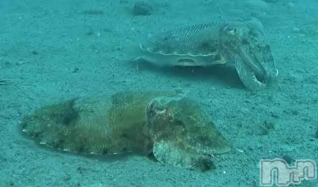 上越デリヘル上越風俗出張アロママッサージ(ジョウエツフウゾクシュッチョウアロママッサージ)ゆずき☆(37)の2020年9月25日写メブログ「ありがとうございました♡」