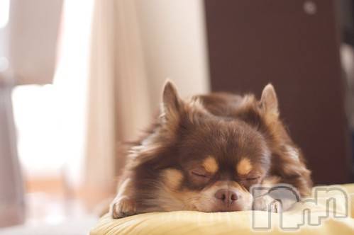 上越デリヘル上越風俗出張アロママッサージ(ジョウエツフウゾクシュッチョウアロママッサージ)ゆずき☆(37)の2020年10月11日写メブログ「ありがとうございました♡」