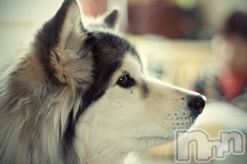 上越デリヘル上越風俗出張アロママッサージ(ジョウエツフウゾクシュッチョウアロママッサージ)ゆずき☆(37)の2020年10月11日写メブログ「ありがとうございました♡」