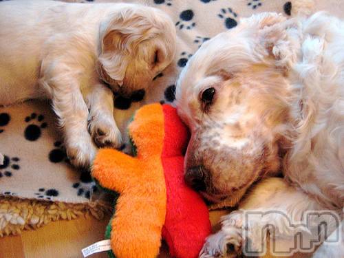 上越デリヘル上越風俗出張アロママッサージ(ジョウエツフウゾクシュッチョウアロママッサージ)ゆずき☆(37)の2020年10月11日写メブログ「ありがとうございました♡」