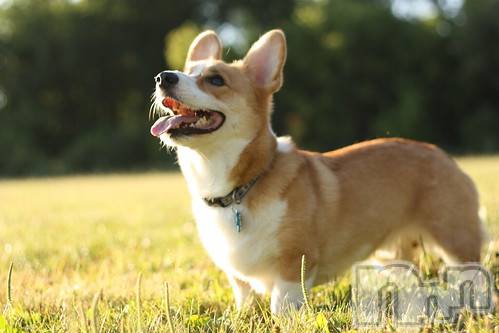 上越デリヘル上越風俗出張アロママッサージ(ジョウエツフウゾクシュッチョウアロママッサージ)ゆずき☆(37)の2020年10月11日写メブログ「ありがとうございました♡」