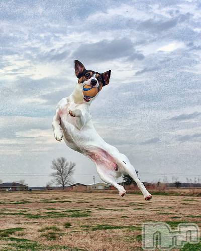 上越デリヘル上越風俗出張アロママッサージ(ジョウエツフウゾクシュッチョウアロママッサージ)ゆずき☆(37)の2020年10月11日写メブログ「ありがとうございました♡」