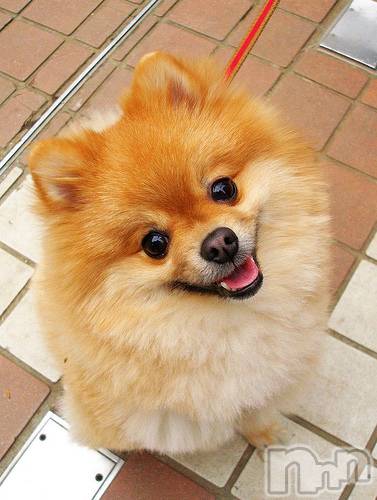 上越デリヘル上越風俗出張アロママッサージ(ジョウエツフウゾクシュッチョウアロママッサージ)ゆずき☆(37)の2020年10月11日写メブログ「ありがとうございました♡」