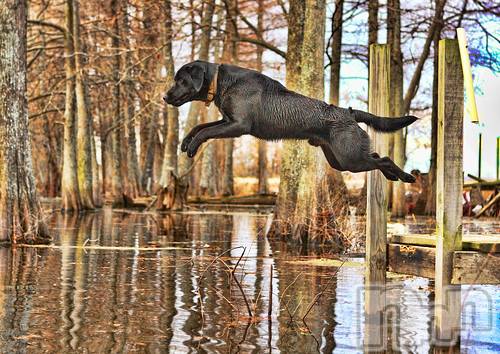 上越デリヘル上越風俗出張アロママッサージ(ジョウエツフウゾクシュッチョウアロママッサージ)ゆずき☆(37)の2020年10月20日写メブログ「ありがとうございました♡」
