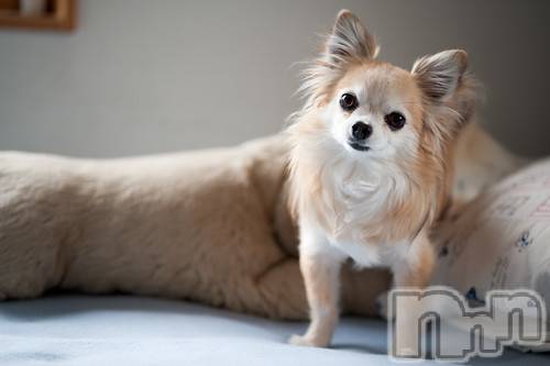 上越デリヘル上越風俗出張アロママッサージ(ジョウエツフウゾクシュッチョウアロママッサージ)ゆずき☆(37)の2020年10月21日写メブログ「ありがとうございました♡」