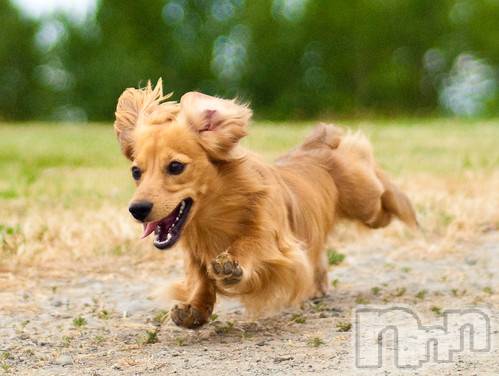 上越デリヘル上越風俗出張アロママッサージ(ジョウエツフウゾクシュッチョウアロママッサージ)ゆずき☆(37)の2020年10月21日写メブログ「ありがとうございました♡」