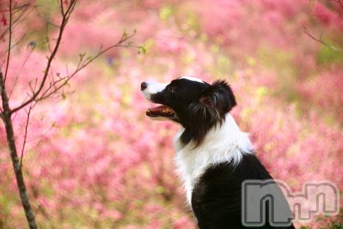 上越デリヘル上越風俗出張アロママッサージ(ジョウエツフウゾクシュッチョウアロママッサージ)ゆずき☆(37)の2020年10月24日写メブログ「ありがとうございました♡」