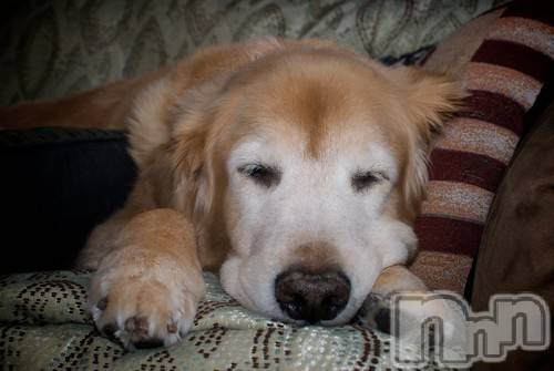 上越デリヘル上越風俗出張アロママッサージ(ジョウエツフウゾクシュッチョウアロママッサージ)ゆずき☆(37)の2020年11月26日写メブログ「ありがとうございました♡」