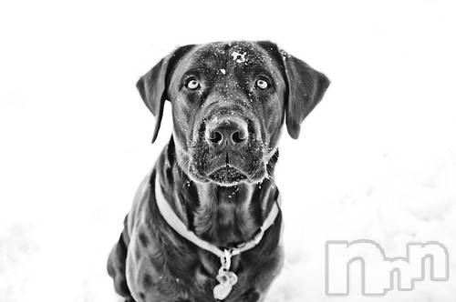 上越デリヘル上越風俗出張アロママッサージ(ジョウエツフウゾクシュッチョウアロママッサージ)ゆずき☆(37)の2020年11月26日写メブログ「ありがとうございました♡」