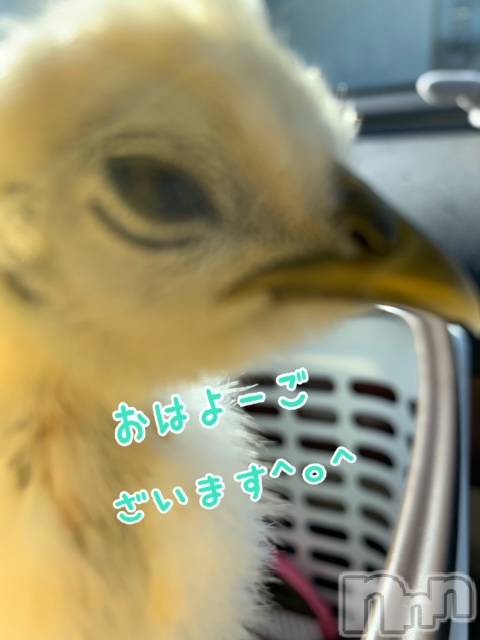 上越デリヘル上越風俗出張アロママッサージ(ジョウエツフウゾクシュッチョウアロママッサージ)ゆずき☆(37)の2020年11月27日写メブログ「お天気になりました♡」
