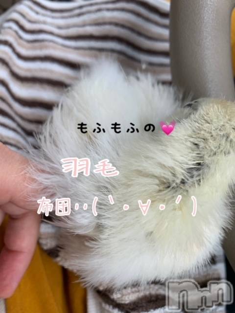 上越デリヘル上越風俗出張アロママッサージ(ジョウエツフウゾクシュッチョウアロママッサージ)ゆずき☆(37)の2020年11月28日写メブログ「本日も♡」