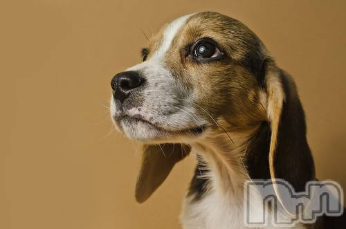 上越デリヘル上越風俗出張アロママッサージ(ジョウエツフウゾクシュッチョウアロママッサージ)ゆずき☆(37)の2020年11月29日写メブログ「ありがとうございました♡」