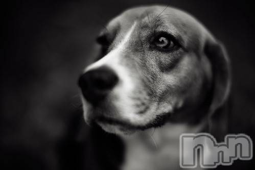 上越デリヘル上越風俗出張アロママッサージ(ジョウエツフウゾクシュッチョウアロママッサージ)ゆずき☆(37)の2020年11月29日写メブログ「ありがとうございました♡」