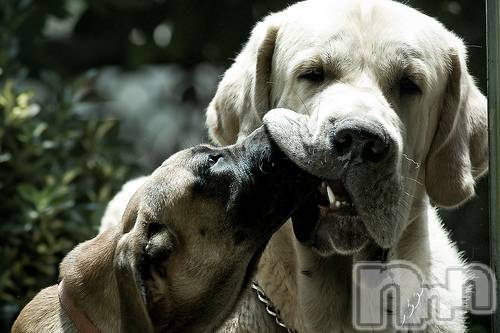 上越デリヘル上越風俗出張アロママッサージ(ジョウエツフウゾクシュッチョウアロママッサージ)ゆずき☆(37)の2020年11月29日写メブログ「ありがとうございました♡」