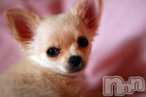 上越デリヘル上越風俗出張アロママッサージ(ジョウエツフウゾクシュッチョウアロママッサージ)ゆずき☆(37)の2020年11月29日写メブログ「ありがとうございました♡」