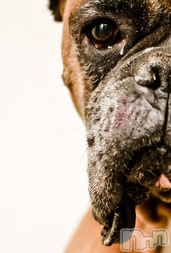 上越デリヘル上越風俗出張アロママッサージ(ジョウエツフウゾクシュッチョウアロママッサージ)ゆずき☆(37)の2020年11月29日写メブログ「ありがとうございました♡」