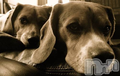 上越デリヘル上越風俗出張アロママッサージ(ジョウエツフウゾクシュッチョウアロママッサージ)ゆずき☆(37)の2020年12月22日写メブログ「ありがとうございました♡」