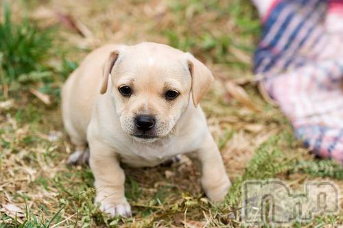 上越デリヘル上越風俗出張アロママッサージ(ジョウエツフウゾクシュッチョウアロママッサージ)ゆずき☆(37)の2020年12月22日写メブログ「ありがとうございました♡」