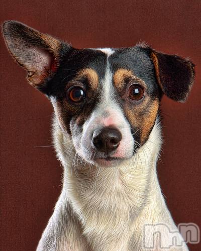 上越デリヘル上越風俗出張アロママッサージ(ジョウエツフウゾクシュッチョウアロママッサージ)ゆずき☆(37)の2020年12月22日写メブログ「ありがとうございました♡」