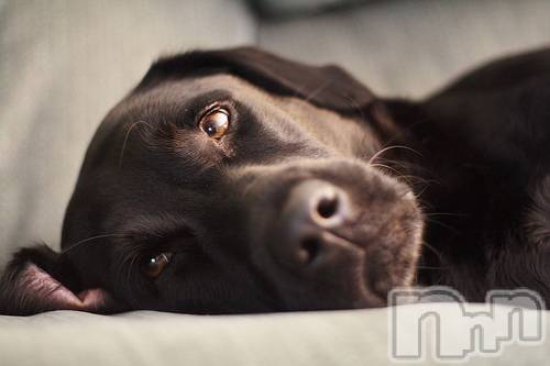 上越デリヘル上越風俗出張アロママッサージ(ジョウエツフウゾクシュッチョウアロママッサージ)ゆずき☆(37)の2020年12月23日写メブログ「ありがとうございました♡」