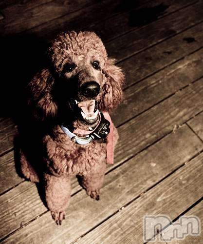 上越デリヘル上越風俗出張アロママッサージ(ジョウエツフウゾクシュッチョウアロママッサージ)ゆずき☆(37)の2020年12月23日写メブログ「ありがとうございました♡」