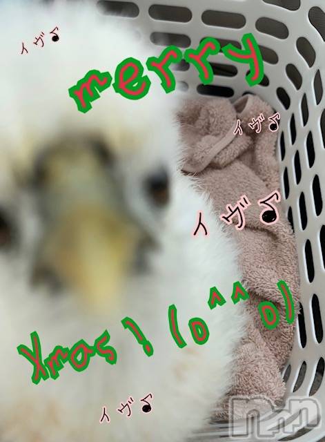 上越デリヘル上越風俗出張アロママッサージ(ジョウエツフウゾクシュッチョウアロママッサージ)ゆずき☆(37)の2020年12月24日写メブログ「本日も♡」