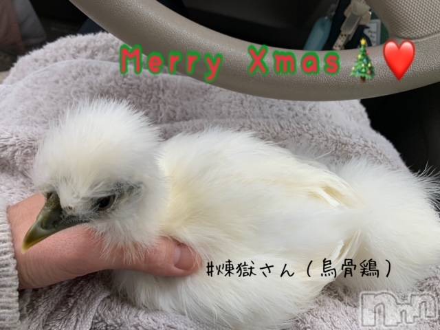 上越デリヘル上越風俗出張アロママッサージ(ジョウエツフウゾクシュッチョウアロママッサージ)ゆずき☆(37)の2020年12月25日写メブログ「Merry__Xmas^_-_^♡」