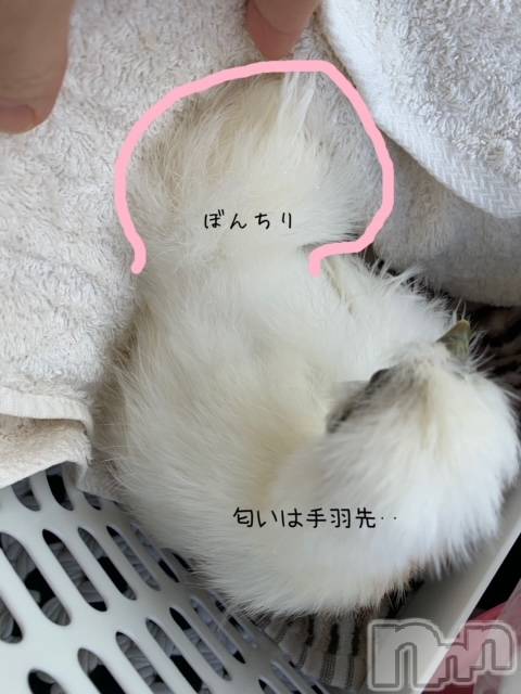 上越デリヘル上越風俗出張アロママッサージ(ジョウエツフウゾクシュッチョウアロママッサージ)ゆずき☆(37)の2020年12月26日写メブログ「本日も」